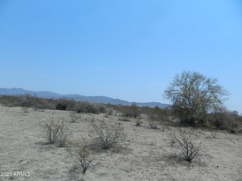 DSCN7404