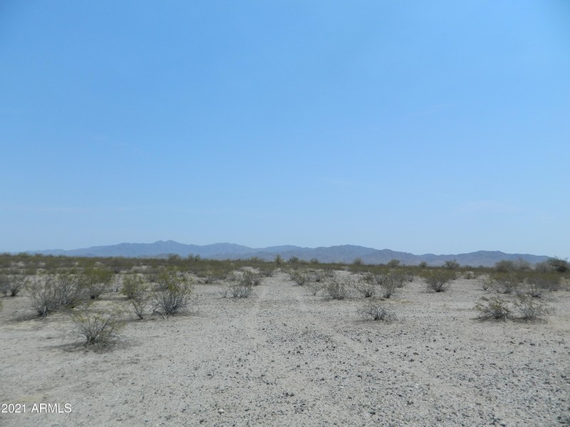 DSCN7405