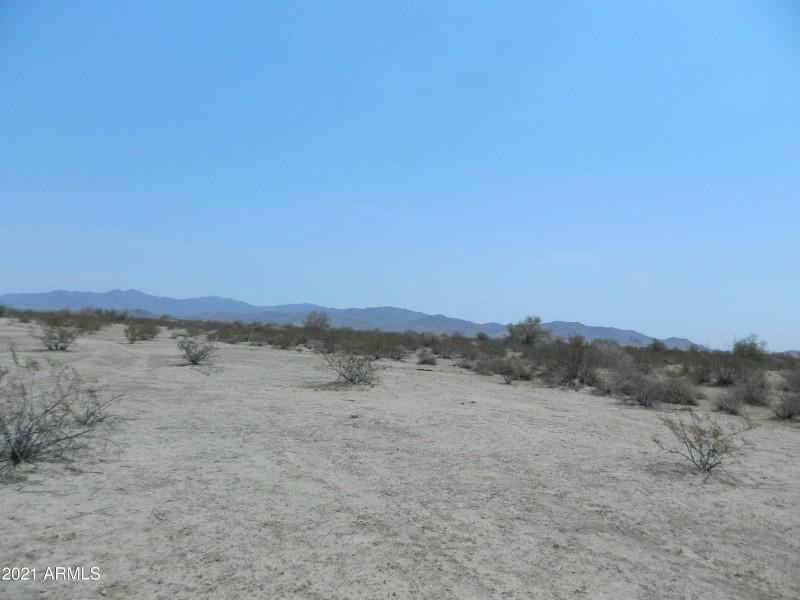 DSCN7401