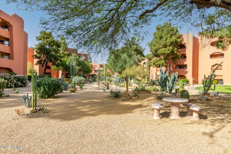 Cactus Garden