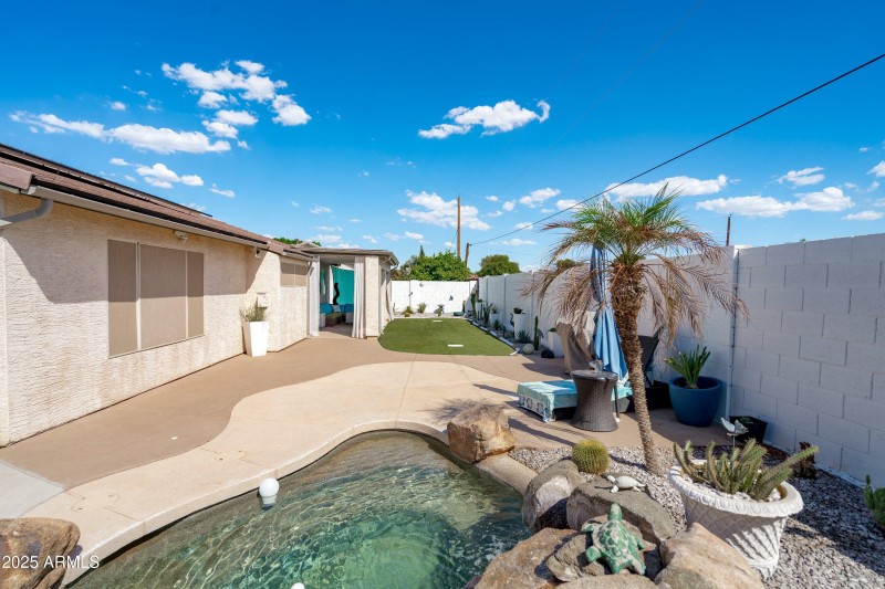50-Backyard View