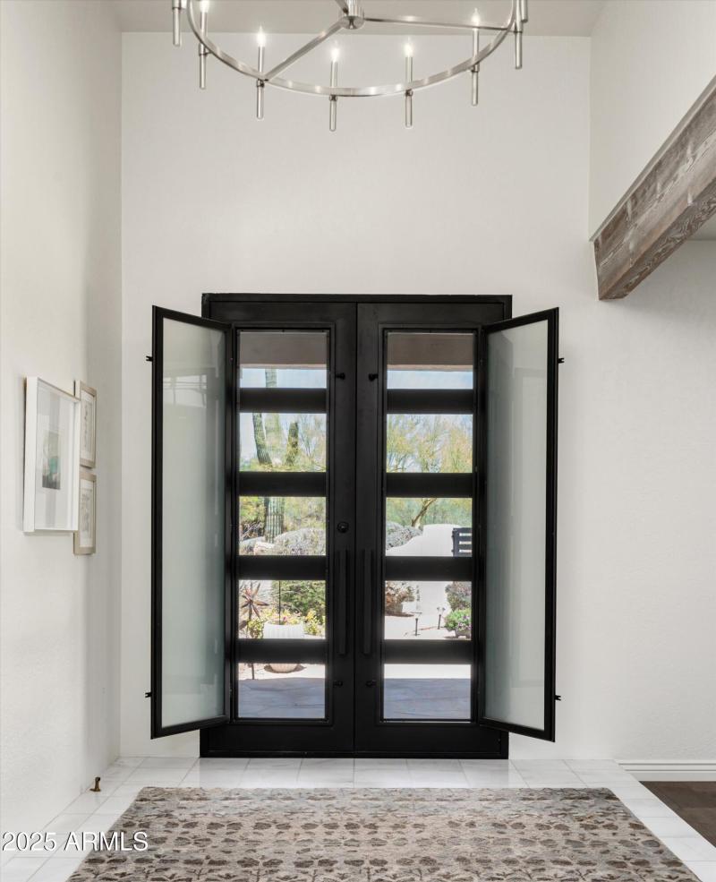 Bronze and Glass Entry Door