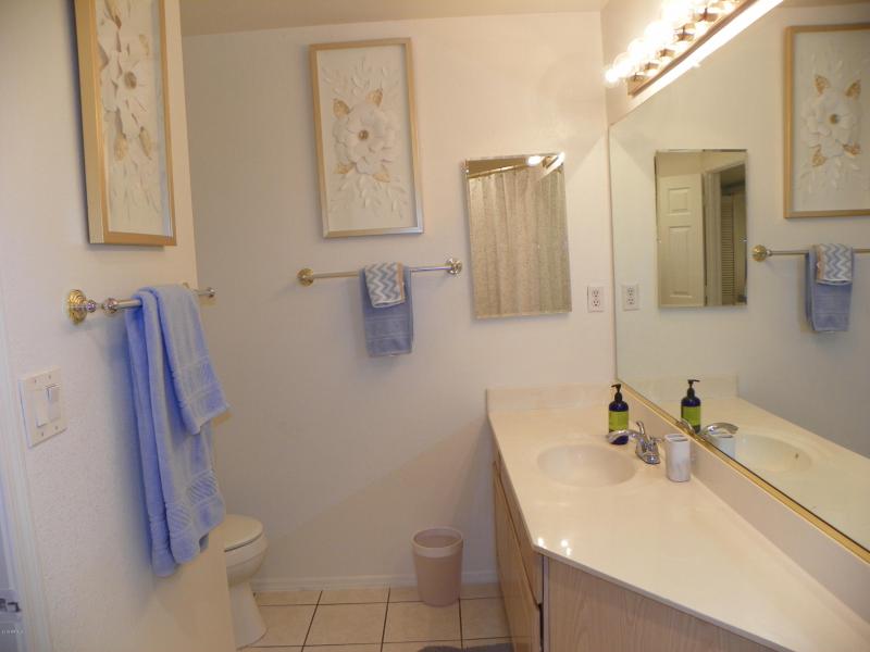 denz 16 furnished rentals scottsdale ran