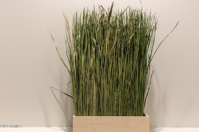 10_8161_E_Alameda_Rd__010_mls