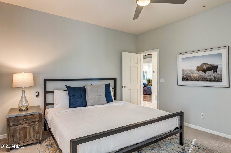 43_8161_E_Alameda_Rd__043_mls