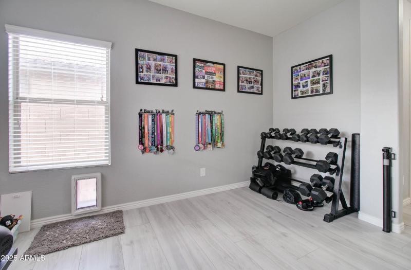 Dog Door in Office/Exercise Room
