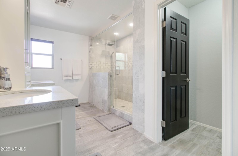 Primary Walk-in Shower and Toilet Room