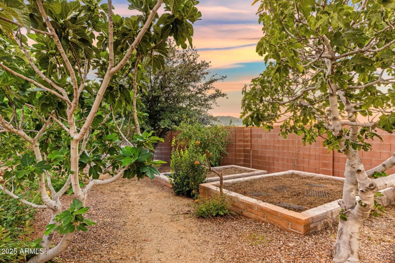 62-web-or-mls-9566 S Swiss Ct-63