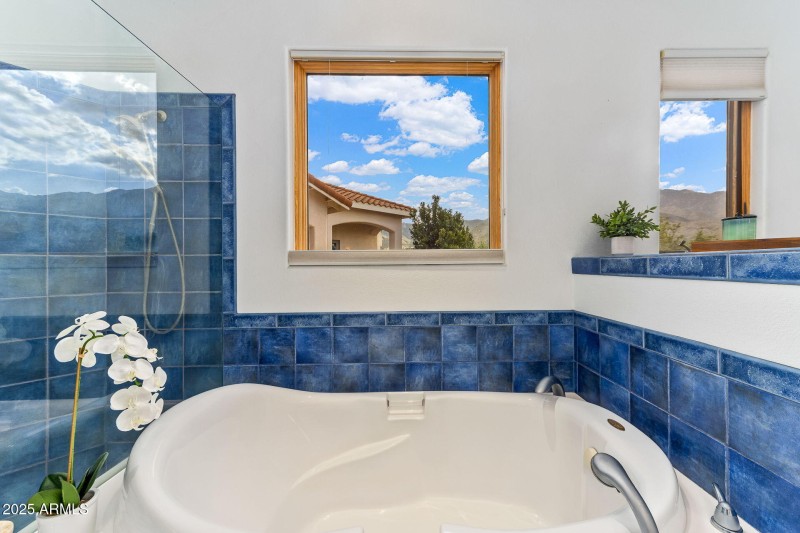 38-web-or-mls-9566 S Swiss Ct-39