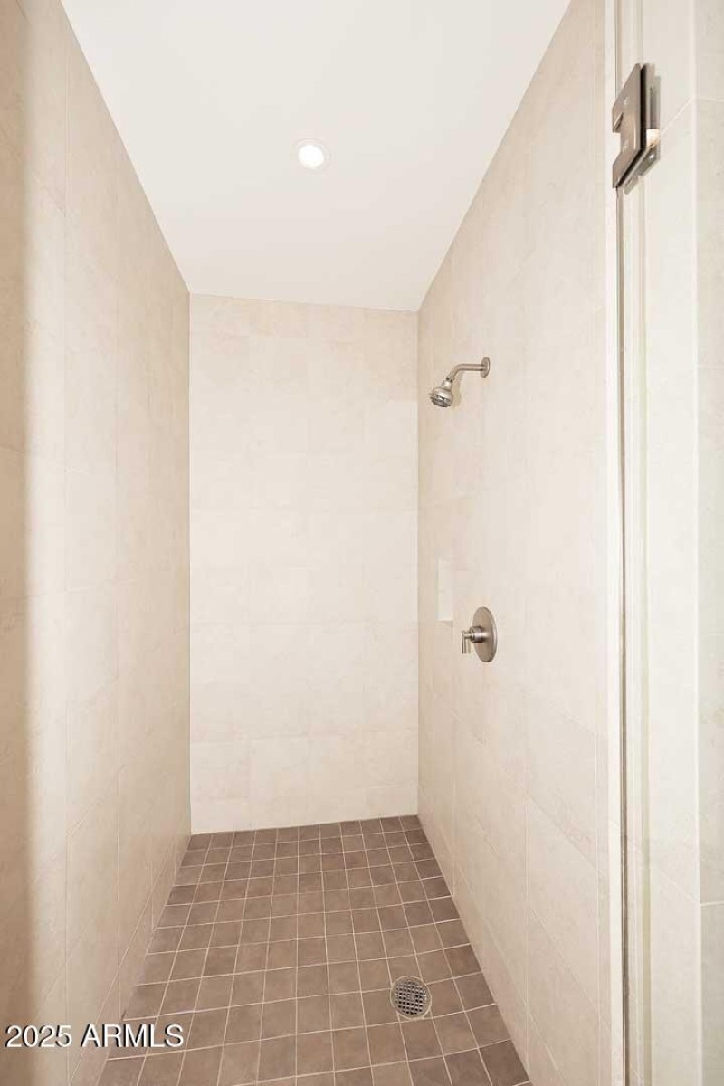 Guest Bath-Shower