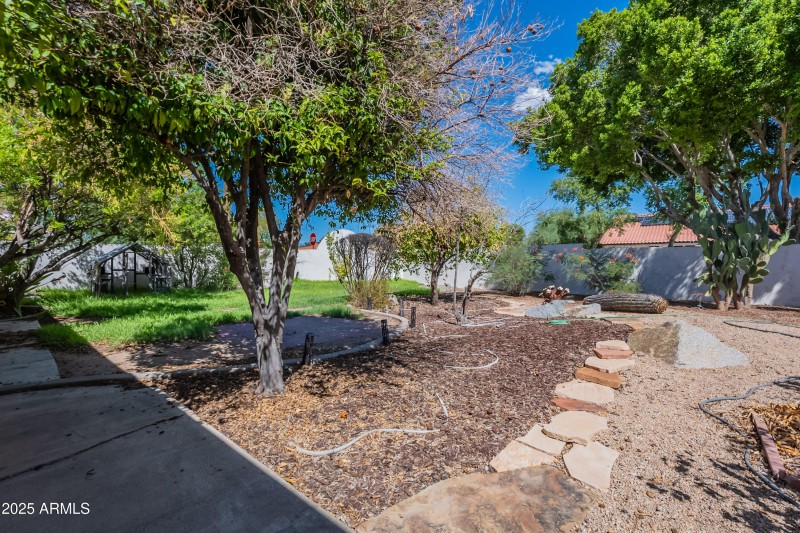 Backyard