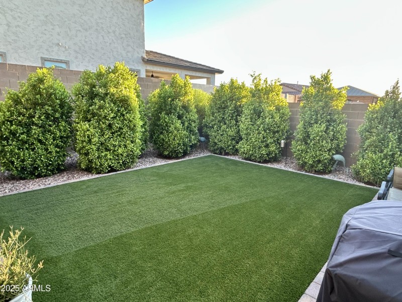15_grass_hedge_4973
