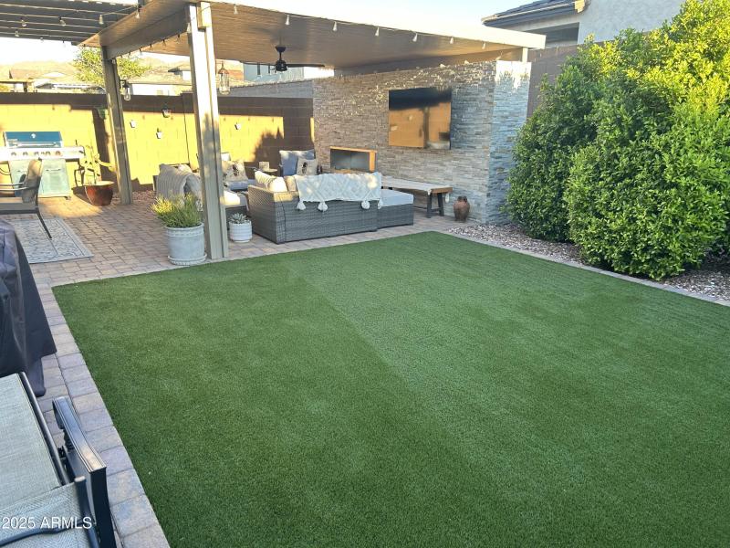 17_grass_hedge_4978