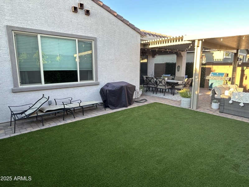 18_grass_hedge_4975
