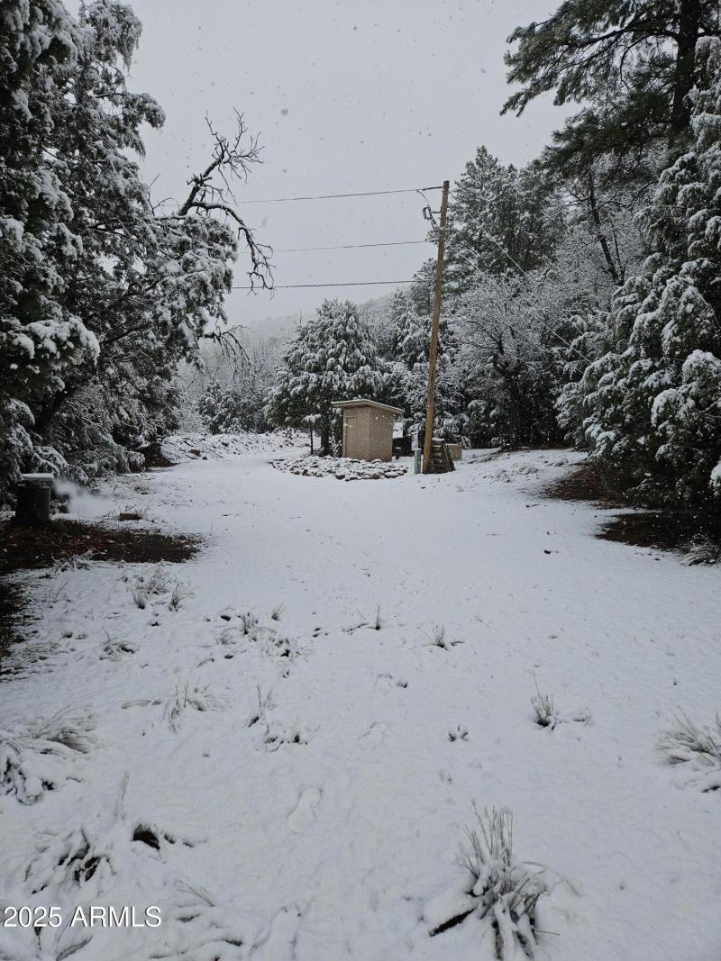 Winter 1