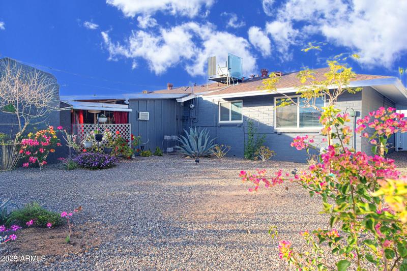 Backyard view