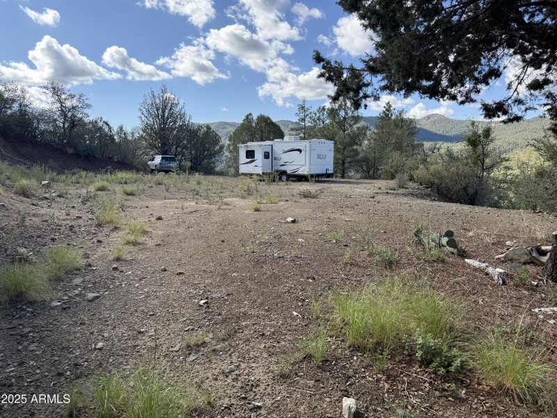 View from driveway
