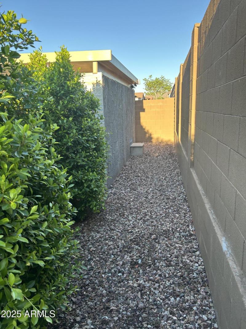 19_grass_hedge_4988