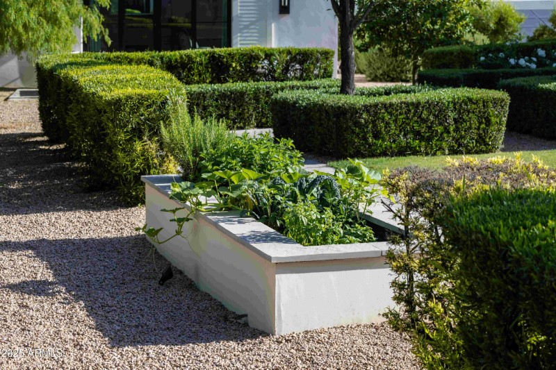 Raised Bed Garden
