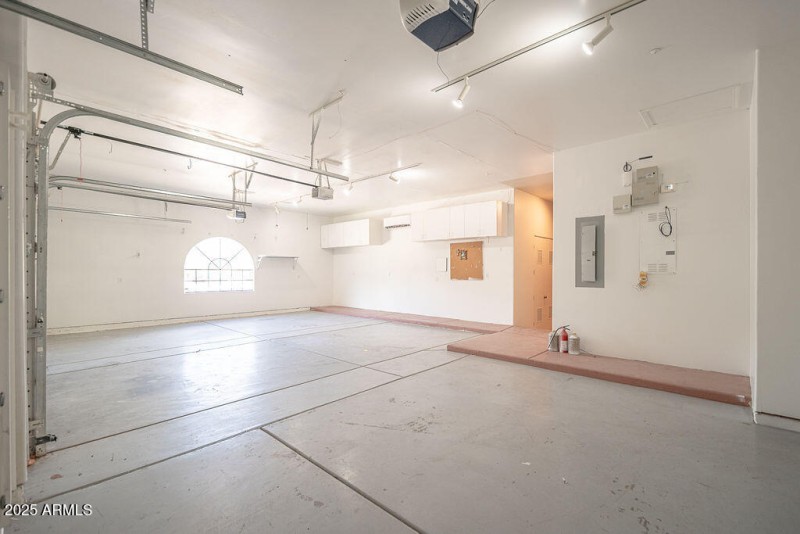 20250911_8170-E-Golden-Spur_21