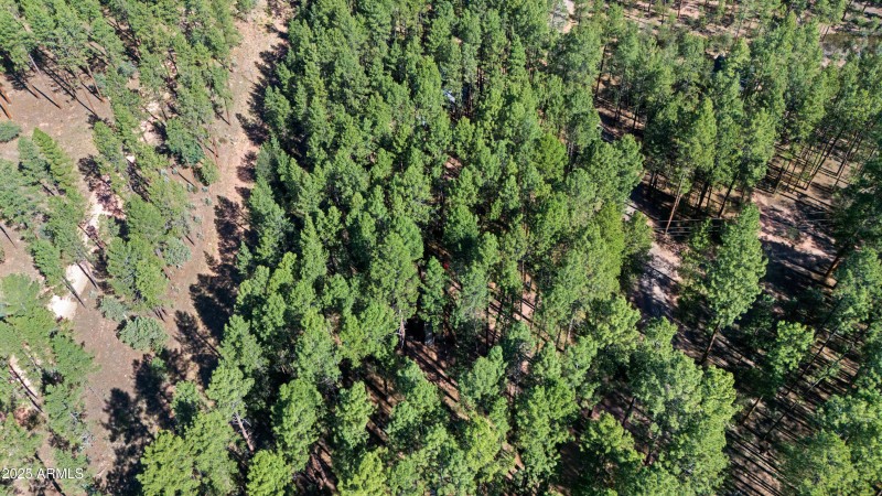 Aerial 6