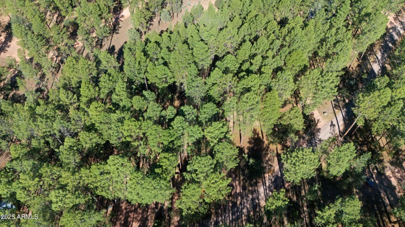 Aerial 3