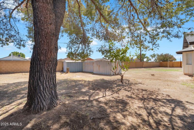 54-web-or-mls-DSC06048