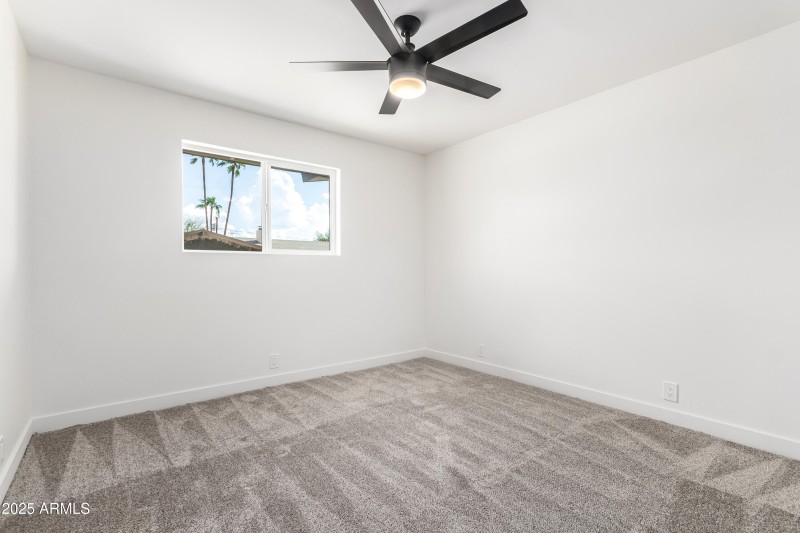 68c3b4_20 - Sahuaro
