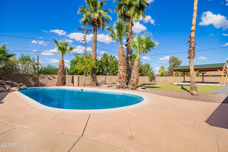 68c3b4_32 - Sahuaro