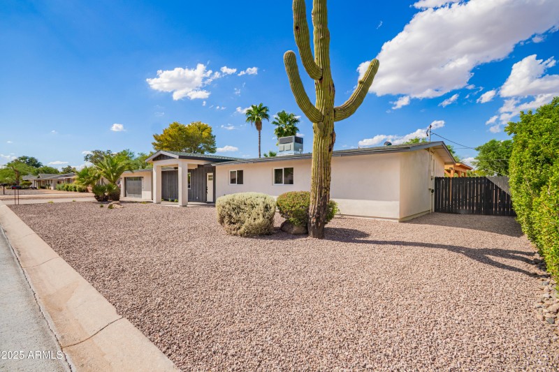 68c3b5_4 - Sahuaro