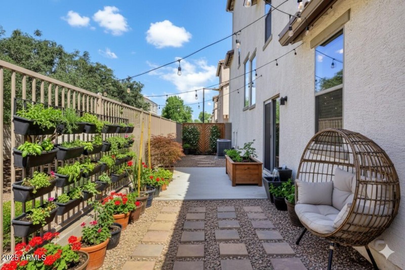 Gemini_Generated_Image_q63e3xq63e3xq63e