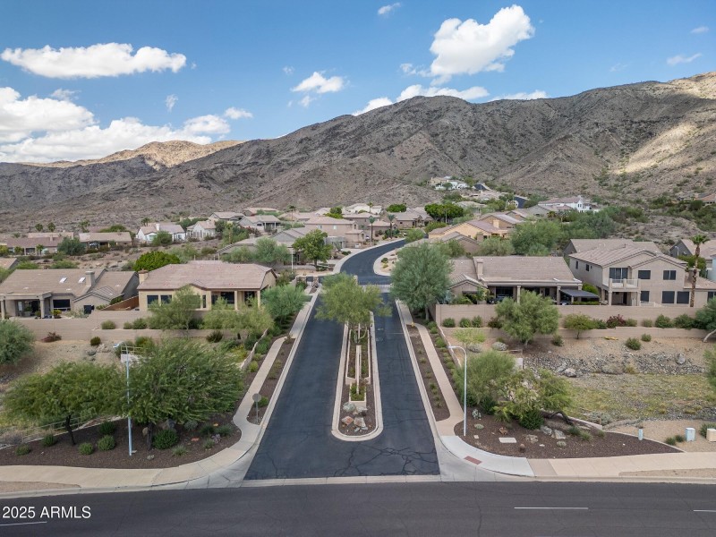 441 W Desert Flower Lane