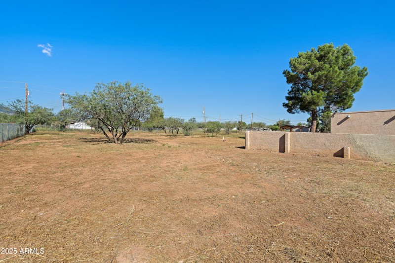 3 Backyard-6