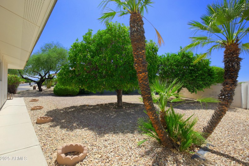 Side Yard with Fruit & Othr Trees