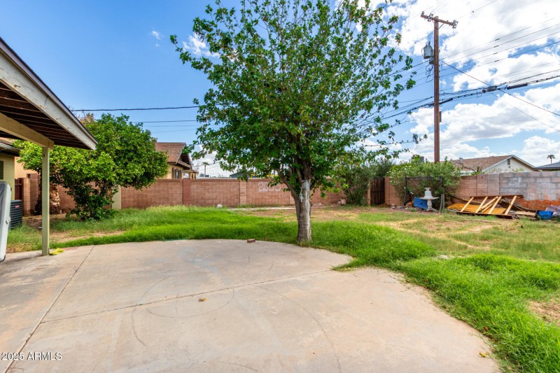 Backyard