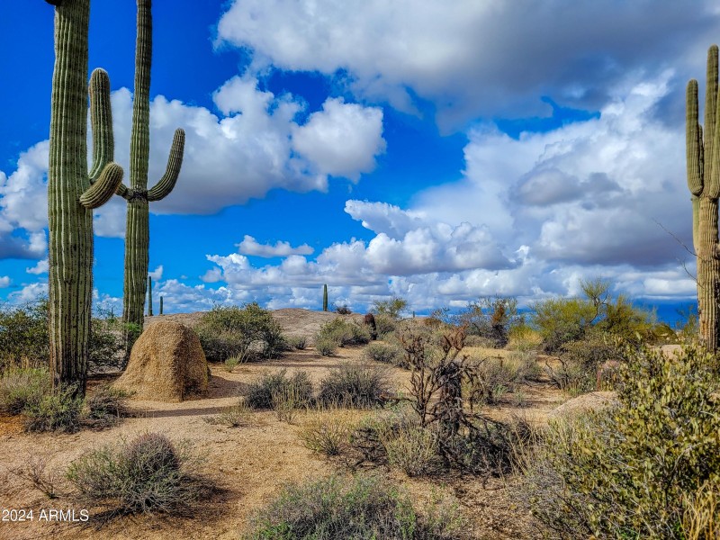Historic Scottsdale parcel