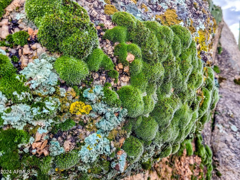 Natures Rock Art