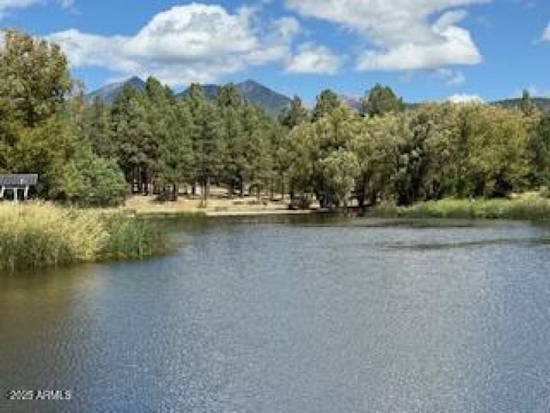 Fishing Pond