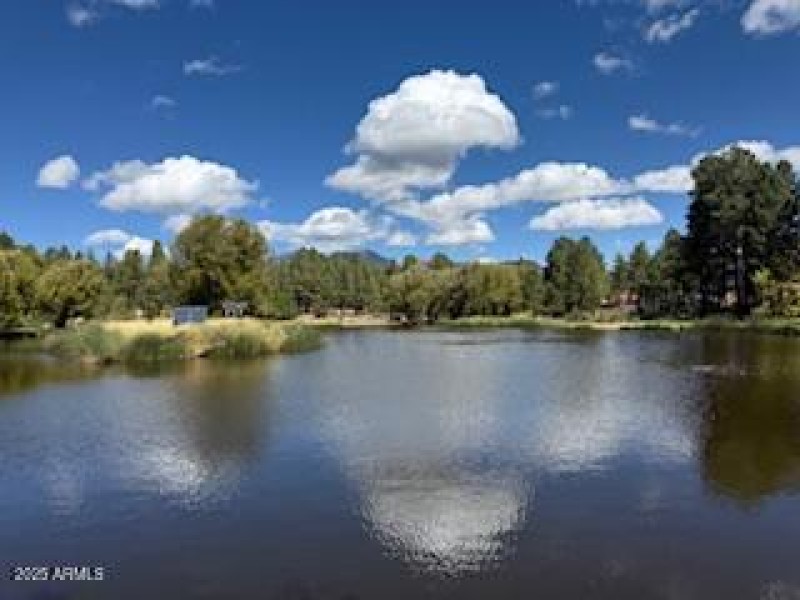 Fishing Pond