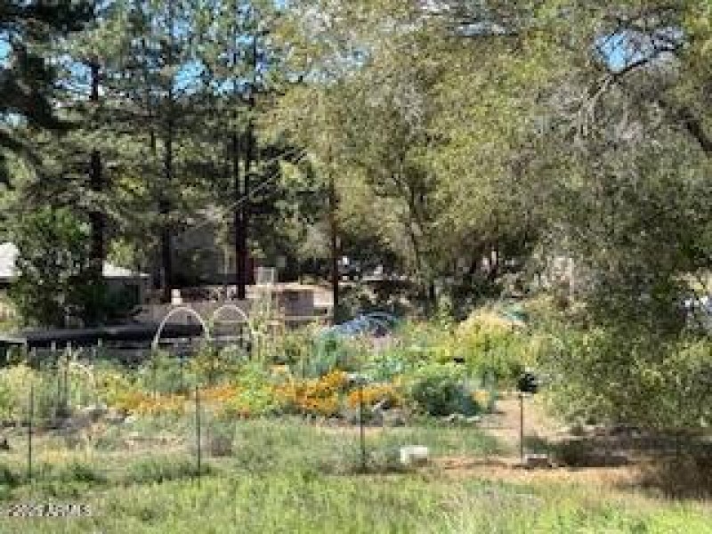 Community Garden in neighborhood