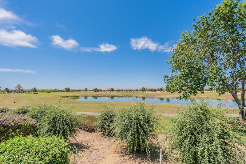 54-web-or-mls-Peach-54