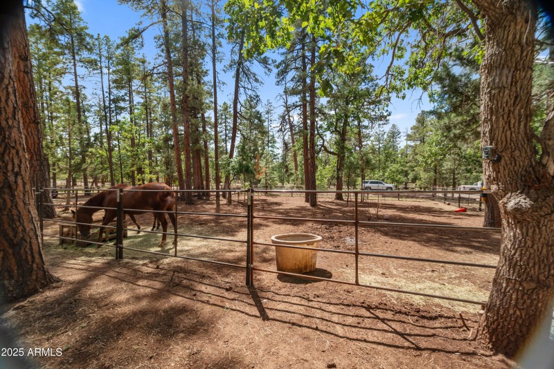 Horse corral