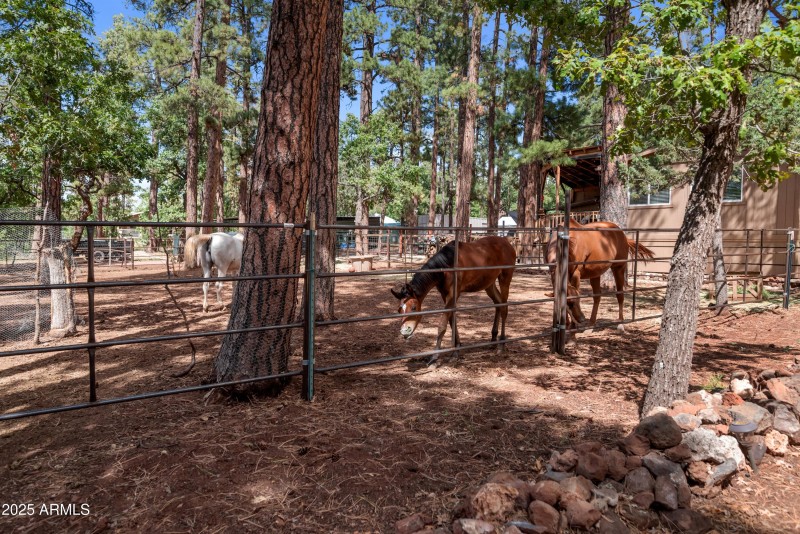 Large horse corrals