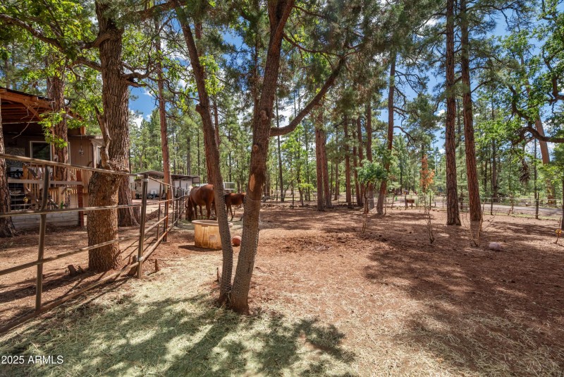 Great level lot