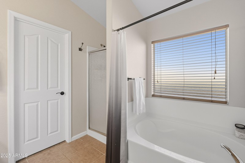 Owner's Suite Bath and Separate Shower