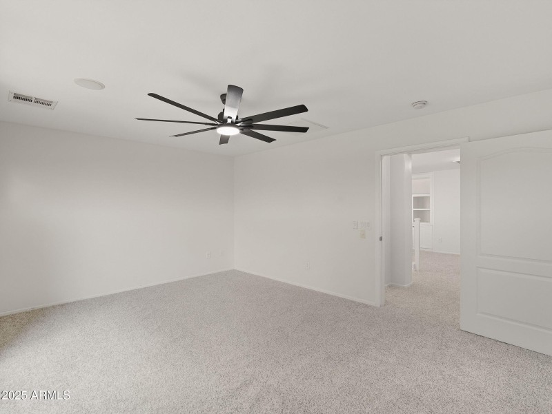 large-019940ae-f41c-7267-8e3f-644f6f508f