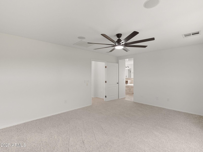 large-019940ae-f44d-7014-97b3-ea1a1af0c7