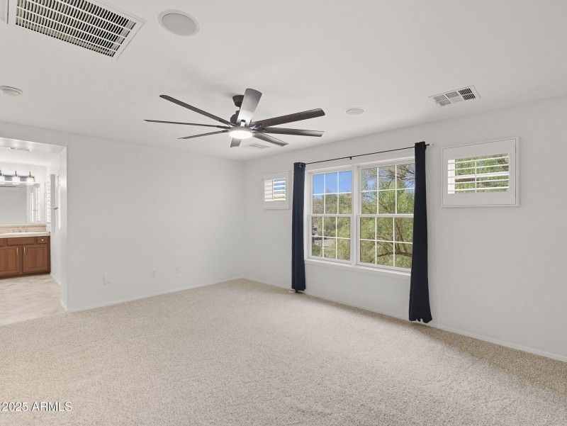 large-019940ae-f481-73f0-a23d-4bde5556f7