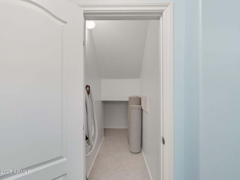 large-019940ae-f747-7365-b99a-a368defe98