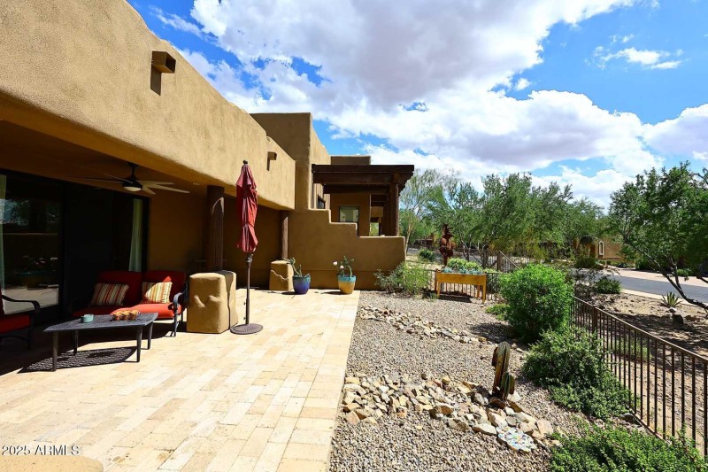 Backyard2
